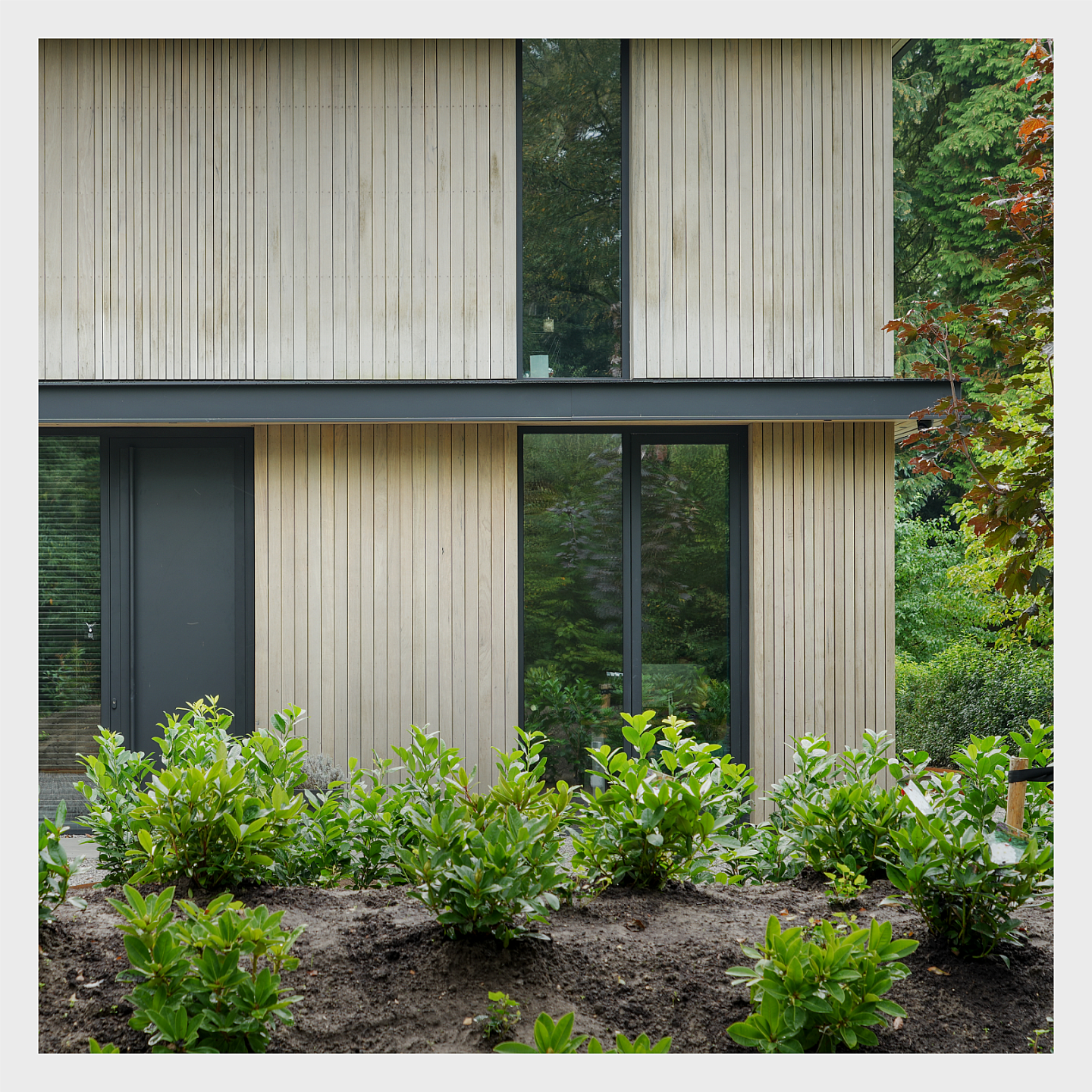 Willekeur ontwerpen